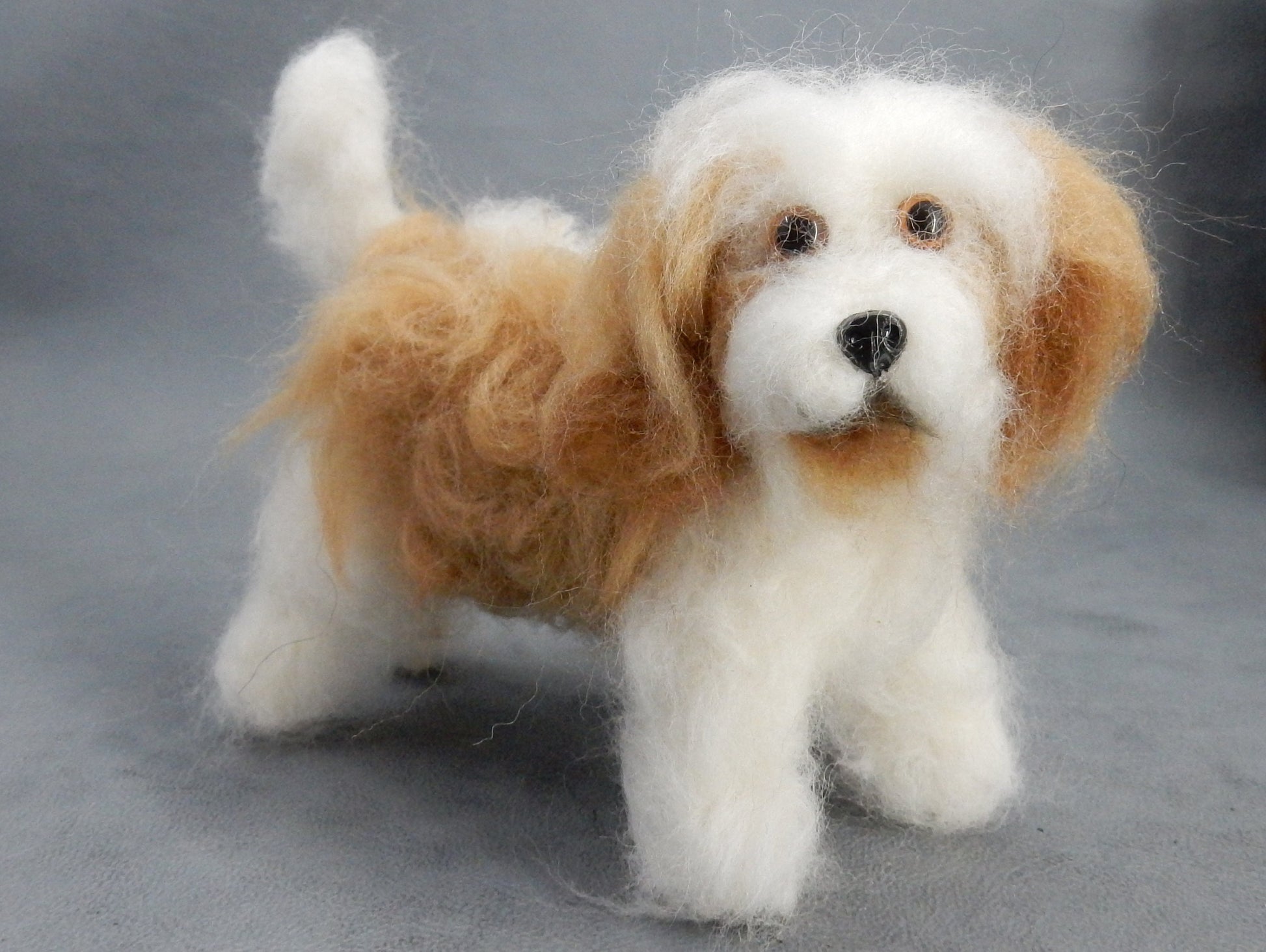 Coton de Tuléar custom dog miniature