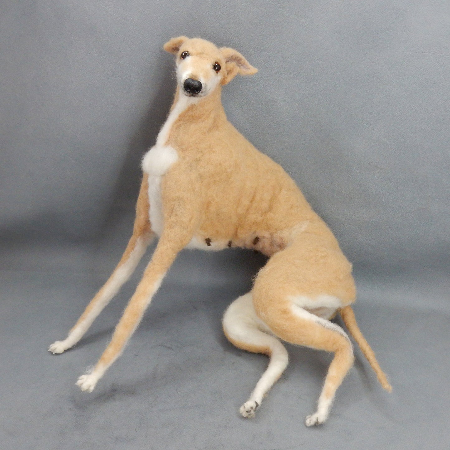 Custom felted Galgo poseable dog replica