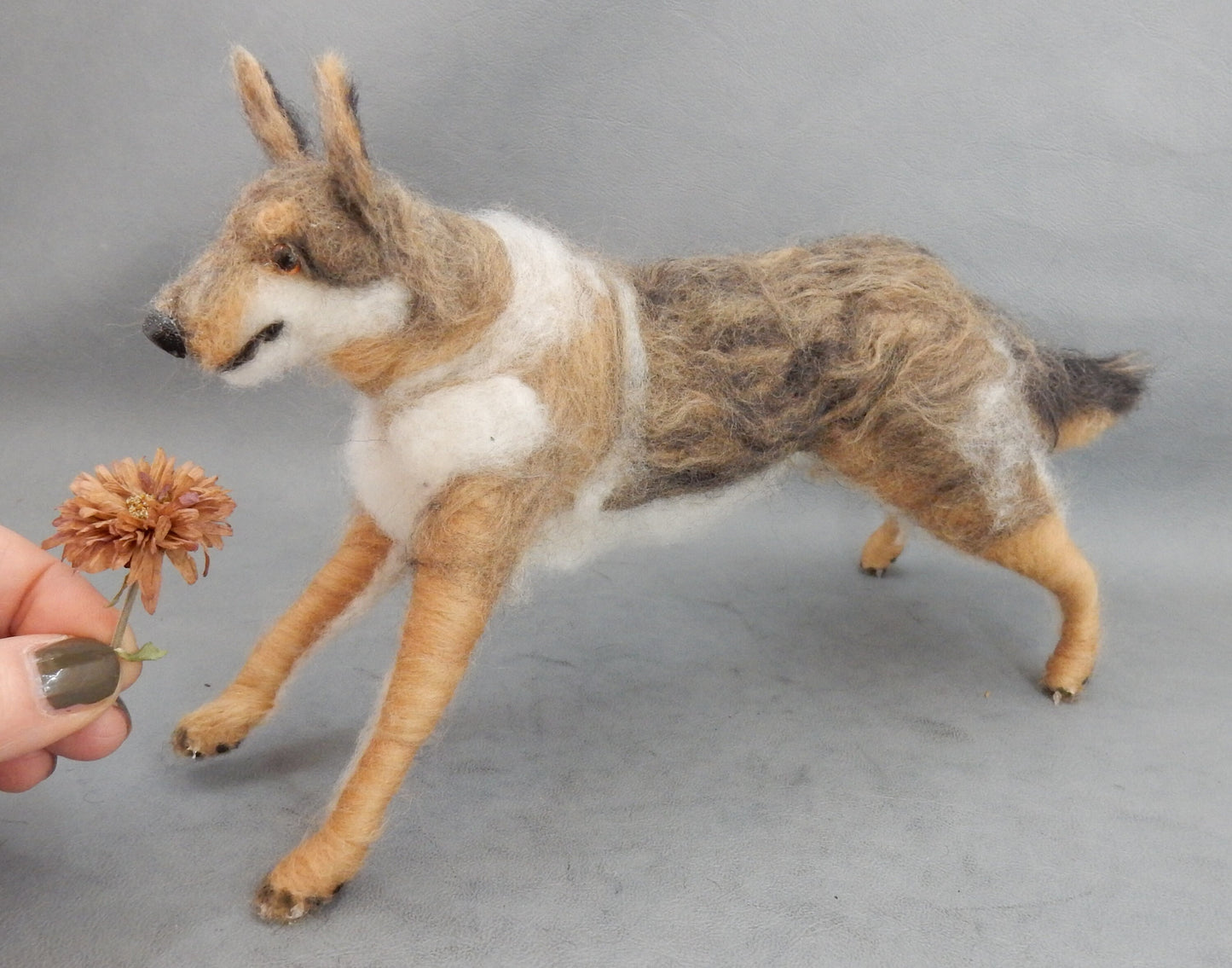 Saarloos Wolfdog needle felted dog replica Wolfdog miniature