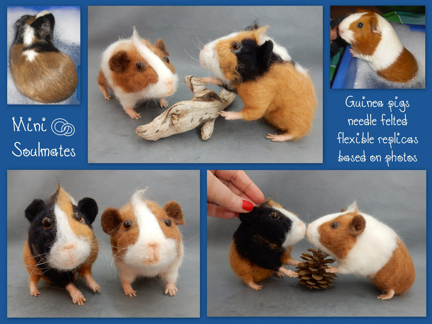 English Guinea Pig miniature