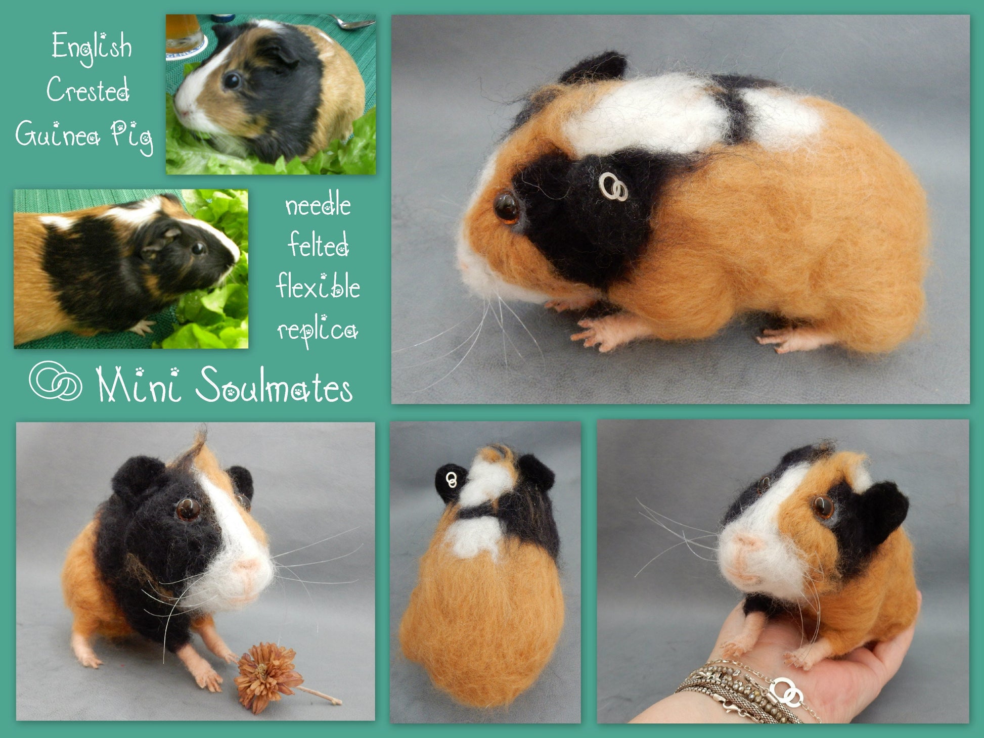 English Guinea Pig miniature