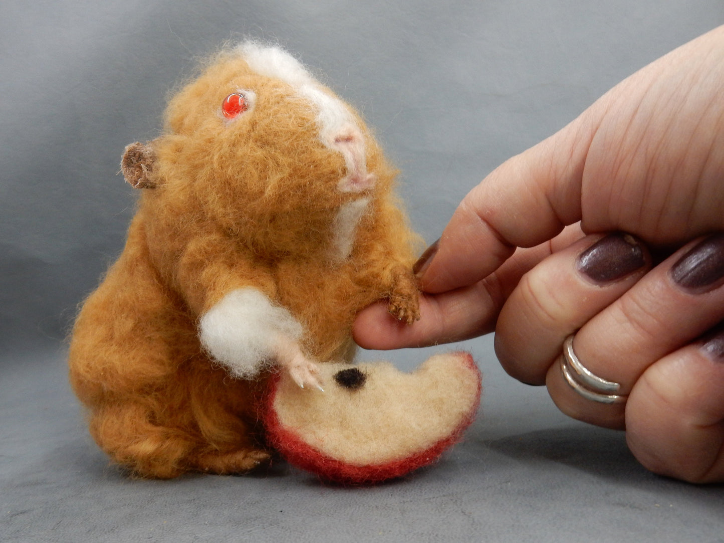 English Guinea Pig miniature