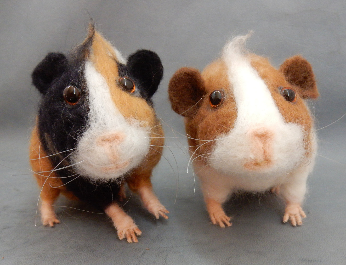 English Guinea Pig miniature