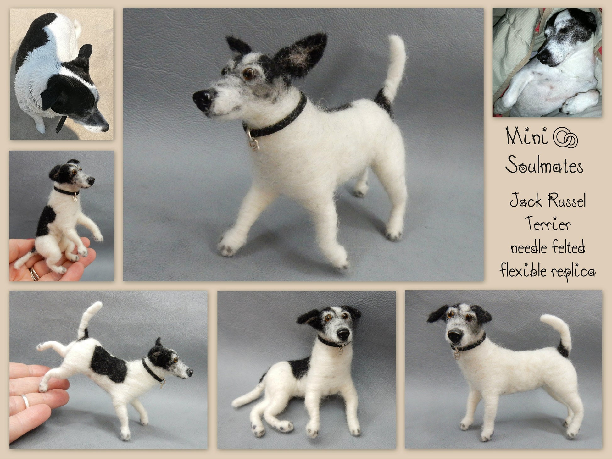 Jack Russell Terrier custom dog replica 3d dog portrait needle felted 