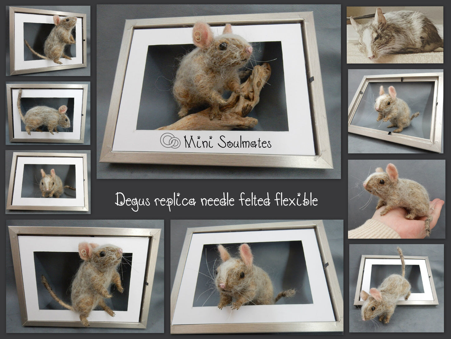 Rodent replica life-size needle-felted degu replica