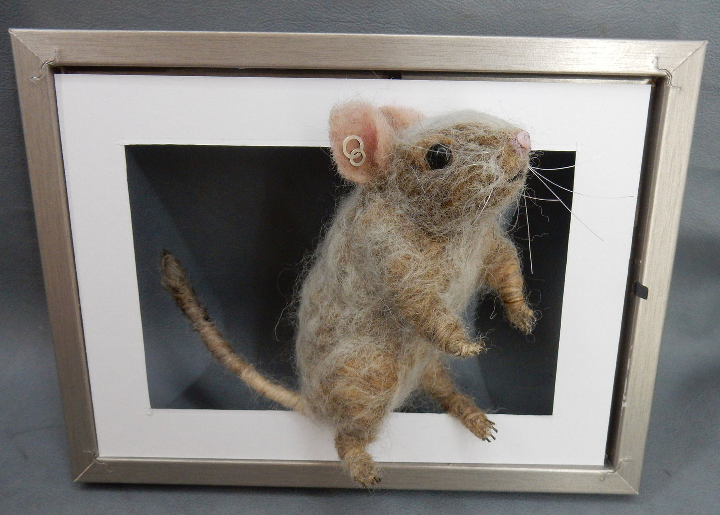 Rodent replica life-size needle-felted degu replica