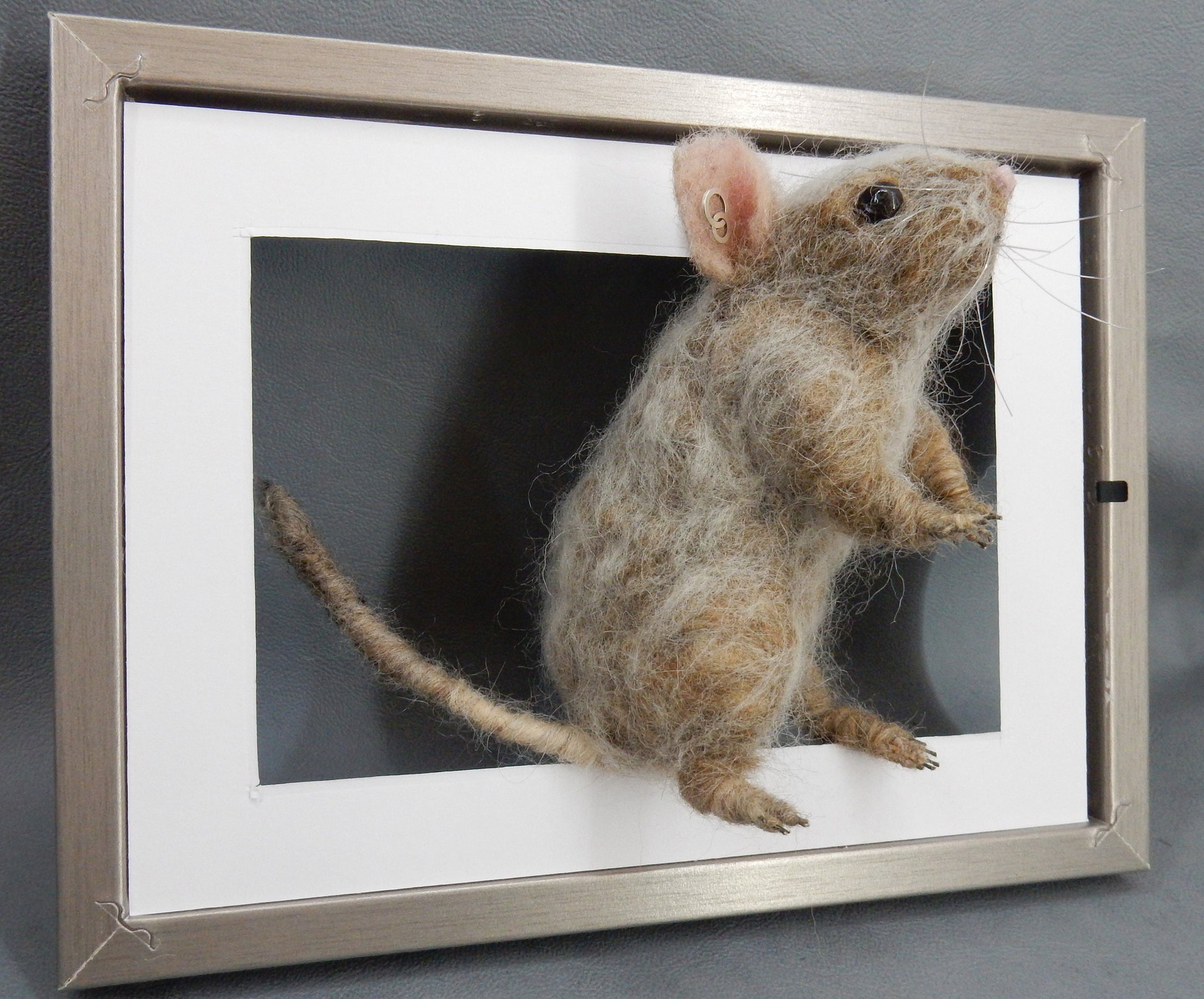 Rodent replica life-size needle-felted degu replica