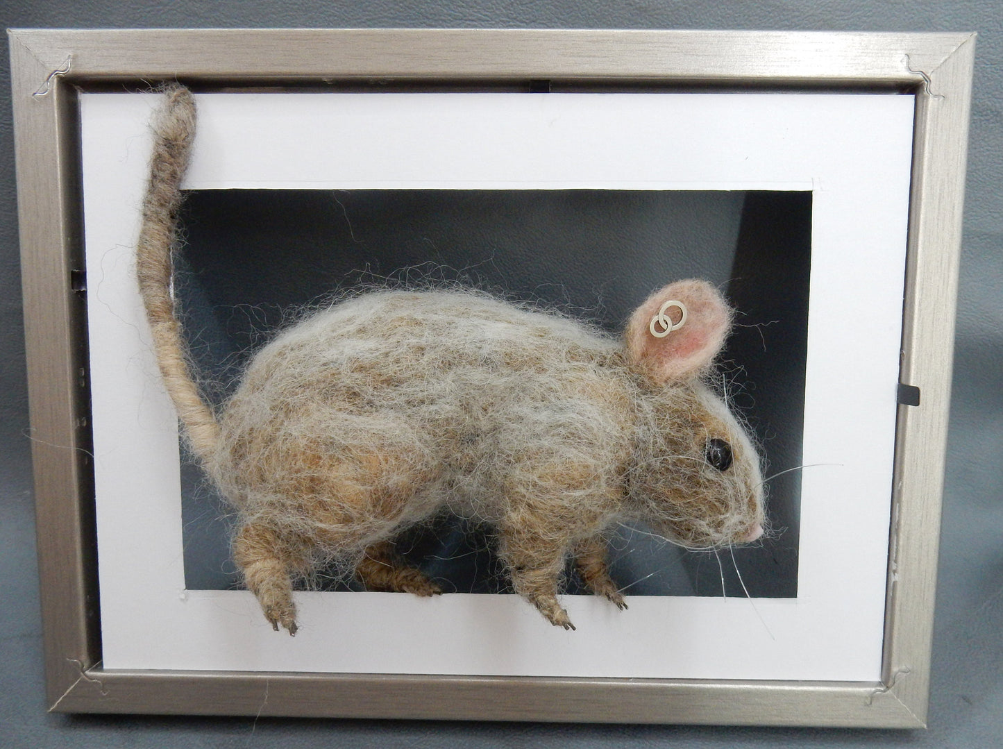 Rodent replica life-size needle-felted degu replica