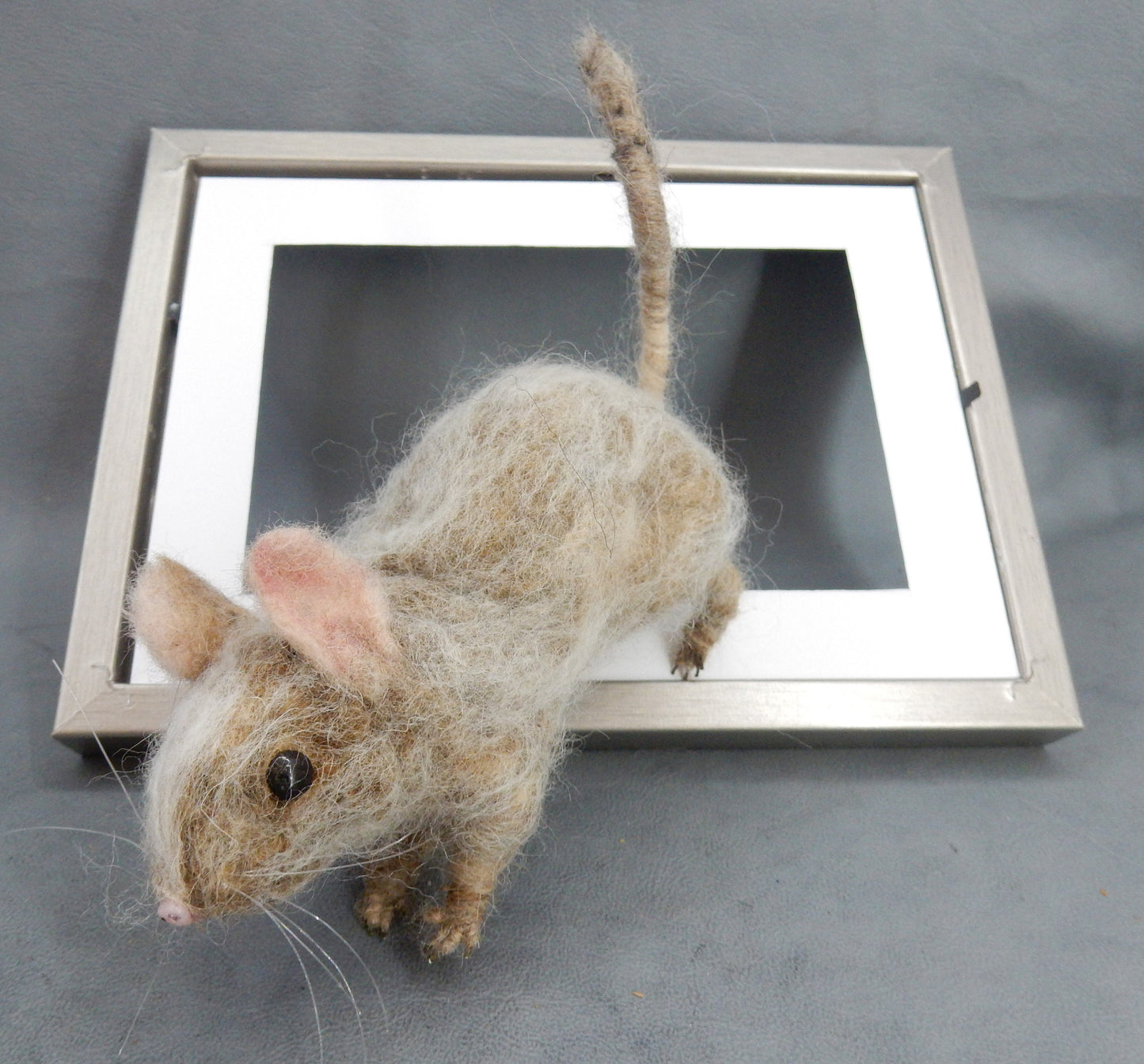 Rodent replica life-size needle-felted degu replica