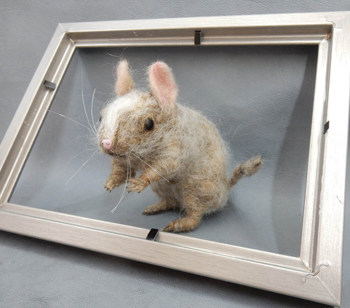 Rodent replica life-size needle-felted degu replica