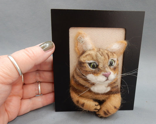 3D cat portrait needle-felted