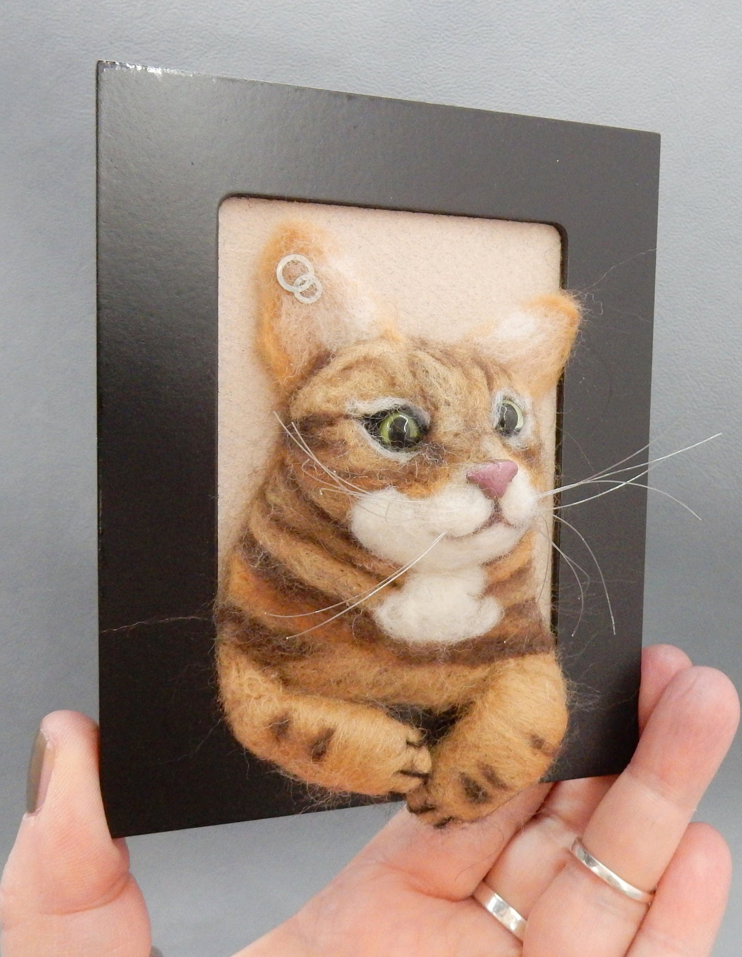 3D cat portrait needle-felted