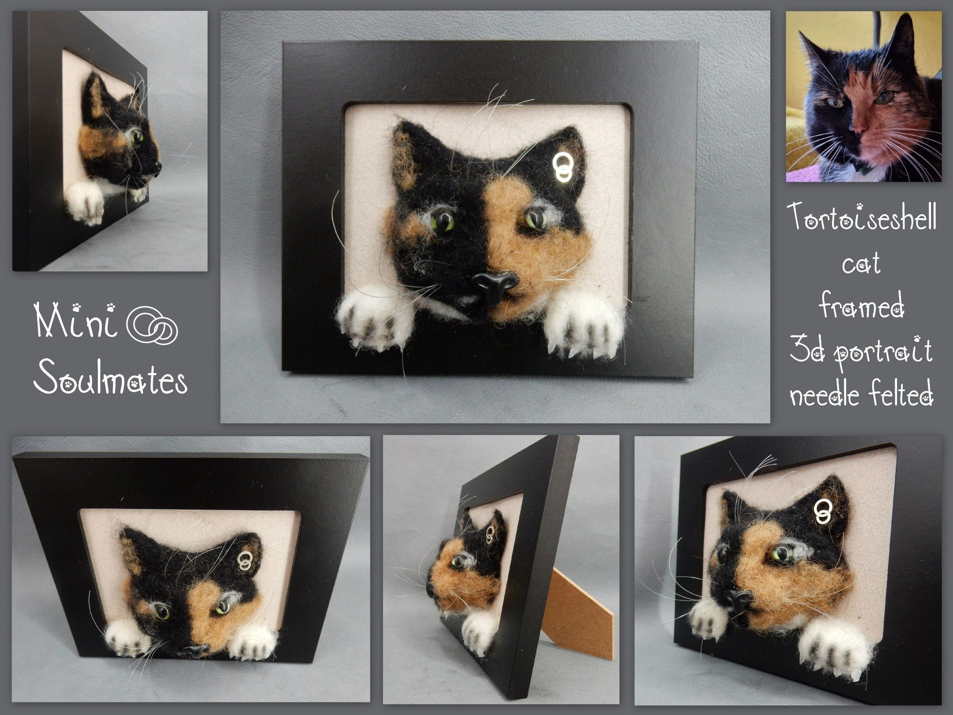 3D cat portrait needle-felted