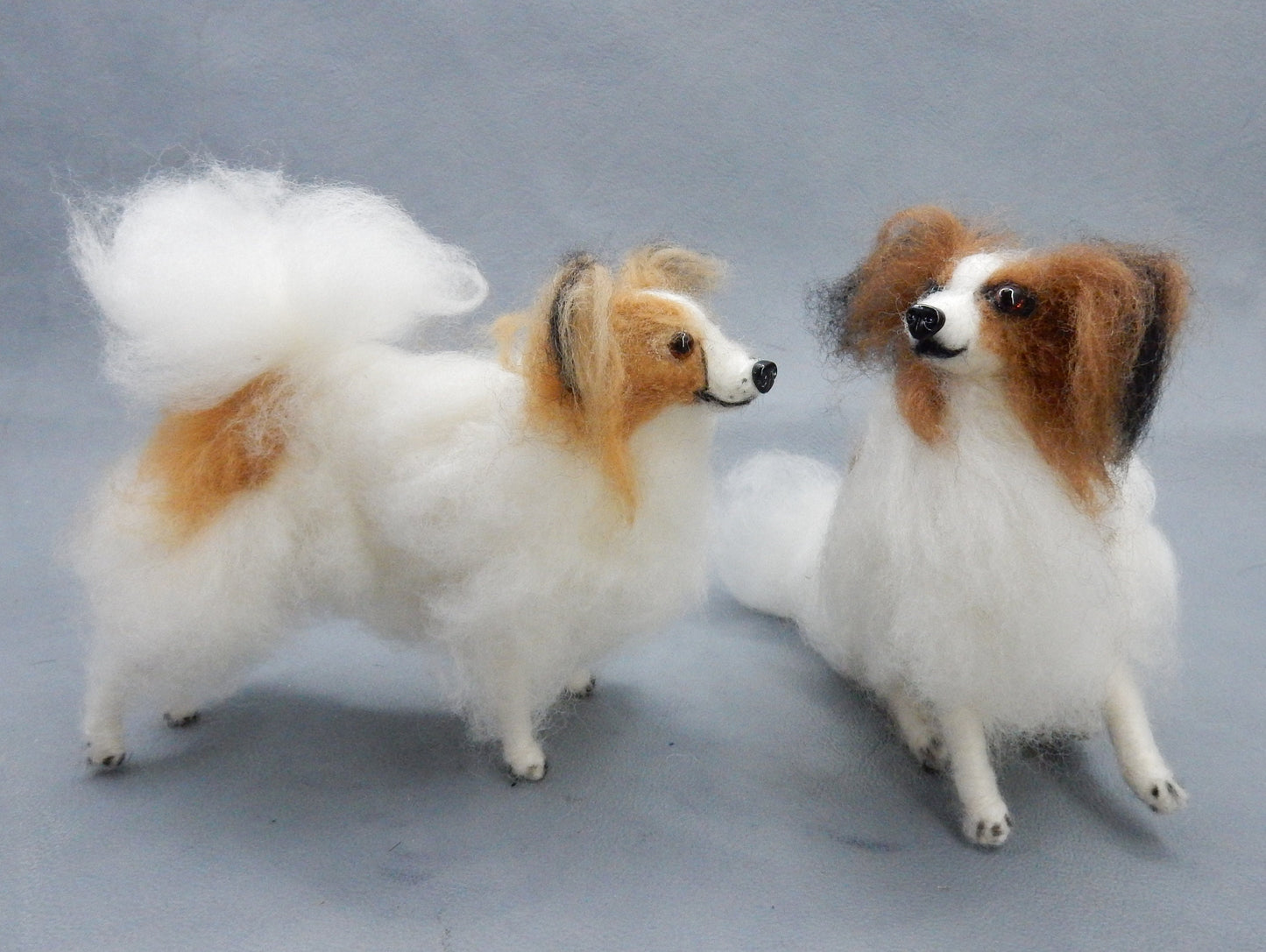 Ready to ship fawn Papillon miniature