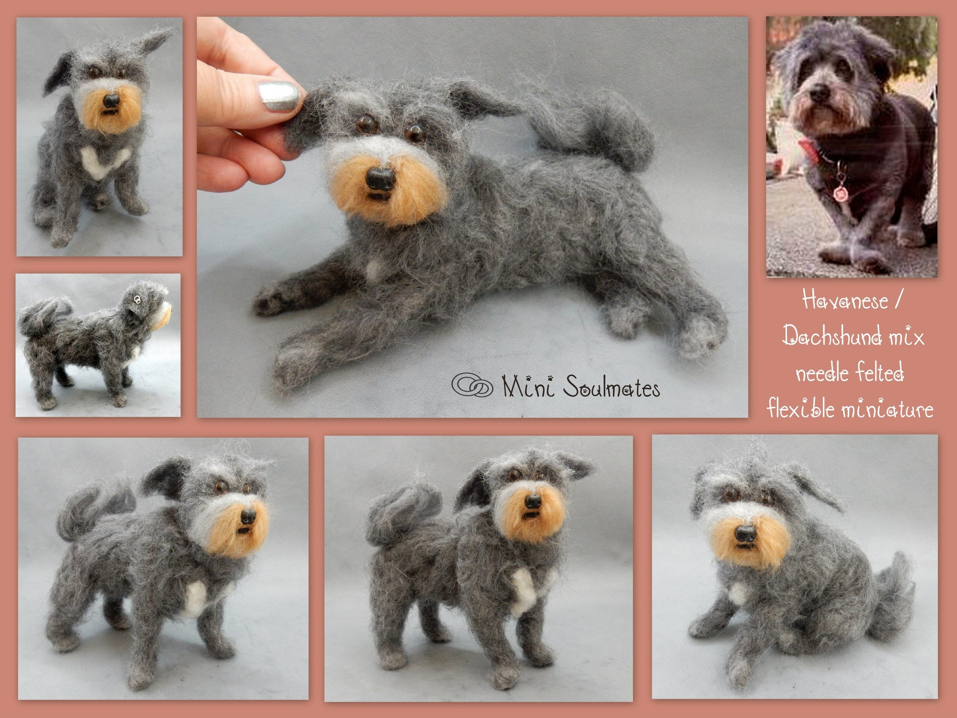 Havanese needle-felted dog miniature custom dog replica