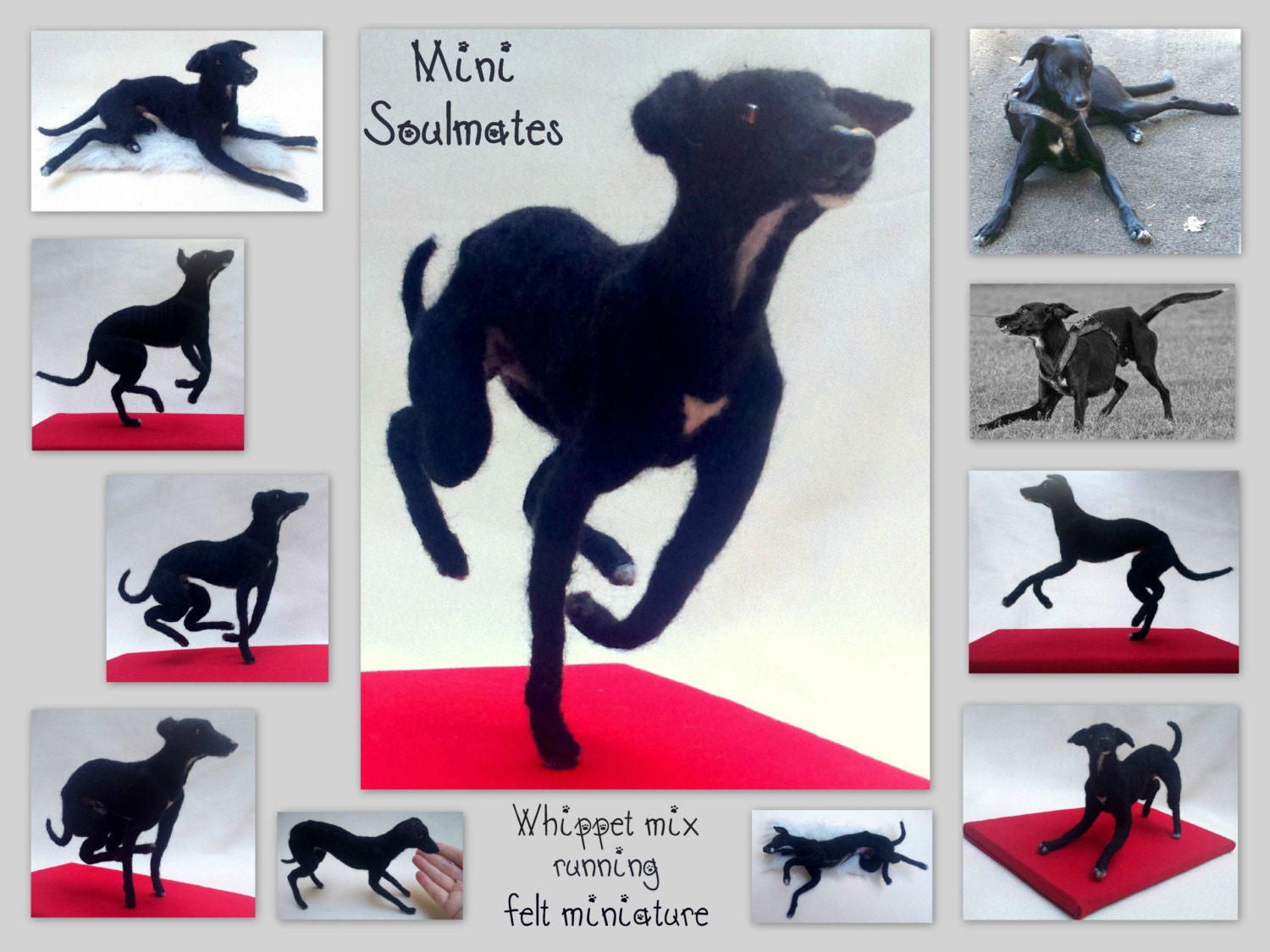 needle-felted dog miniature Faux taxidermy dog mount